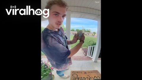 Good Samaritan Returns Lost Wallet || ViralHog