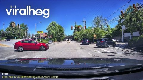 Electric Wheelchair In Philadelphia Traffic || ViralHog