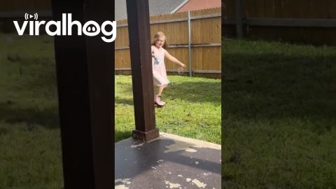 Little Girl and Dog Play With Bubble Machine || ViralHog