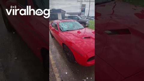Aftermath of a Massive Hailstorm in Springfield, Missouri || ViralHog