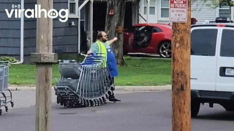 Kroger Employees Push Massive Train of Carts 6 Blocks Back to Store || ViralHog