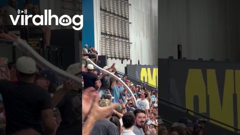 Fans Celebrate Win With Record-Breaking Beer Snake || ViralHog