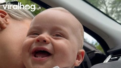 Every Word Make Baby Laugh || ViralHog