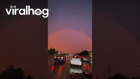 Pink Rainbows Over Pflugerville, Texas || ViralHog