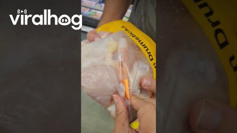 Free Beauty Gift With Purchase of Raw Chicken || ViralHog