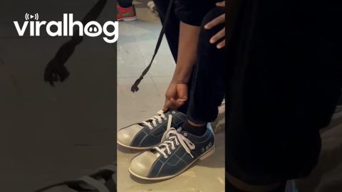 Size 17 Bowling Shoes || ViralHog