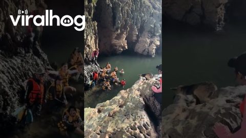 Tourists Cheer For Dog To Jump Into Water || ViralHog