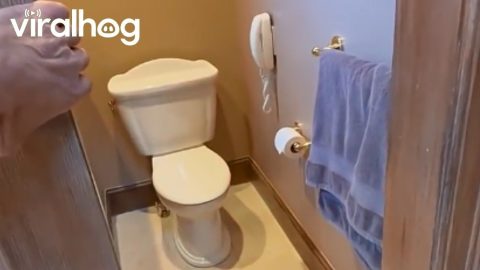 Two Toilet Bathroom || ViralHog