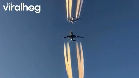 Aircraft Pass Each Other With Reduced Vertical Separation || ViralHog