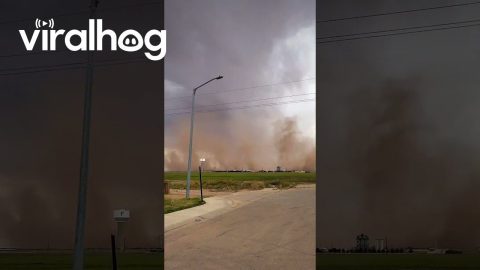 Mile Wide Dust Storm in Lubbock || ViralHog