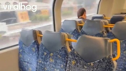 Transforming Train Seats in Australia || ViralHog