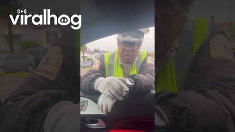Traffic Officer Gives Full Breakdown Of Scene || ViralHog