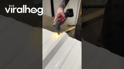 Clever Shop Hack Catches Nibblets With a Soda Bottle || ViralHog