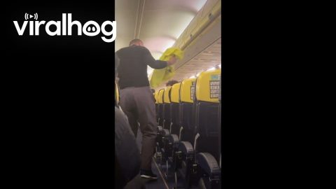 Airline Passenger Wears His Suitcase Onboard || ViralHog