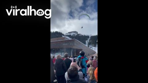 Paraglider Lands On Roof During Après-Ski Party || ViralHog