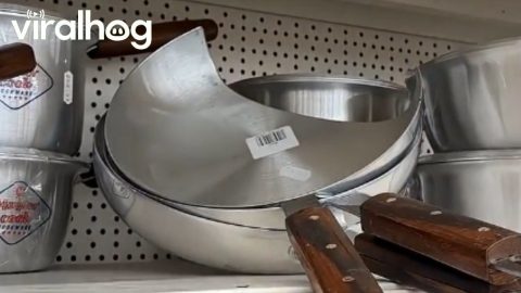 Frying Pan’t || ViralHog