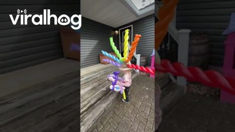 Nonchalant Birthday Balloon Mohawk Hat || ViralHog
