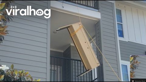 Three Guys And A Rope Failed Furniture Moving || ViralHog