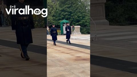 Turkey at The Tomb of the Unknown Soldier || ViralHog