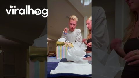 Telling My Siblings I'm Pregnant on the First Anniversary Our Dad's Passing || ViralHog