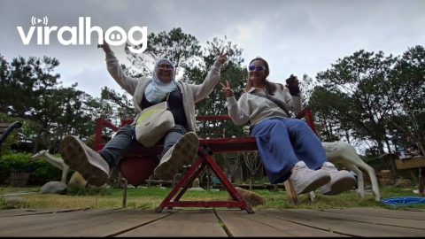 Unbalanced Seesaw Seat Selfie Sends Friend Backwards || ViralHog