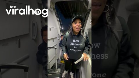 Flight Attendant Surprises Family on Flight || ViralHog