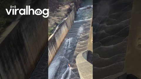 Urban Waterslide in Australia || ViralHog