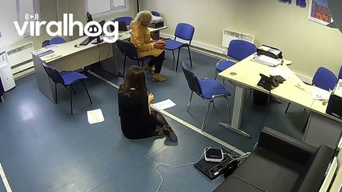 Woman's Feet Tangle In Computer Wires || ViralHog