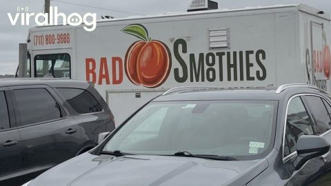 I Hope They Have Good Smoothies Here || ViralHog