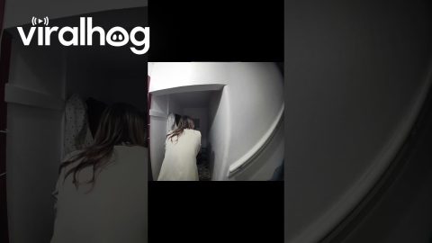 That's One Way to Put Your Shoes On || ViralHog