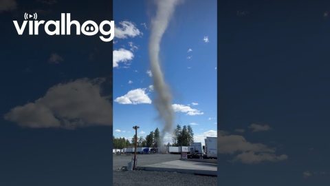 Baby Tornado in Spokane, Washington || ViralHog