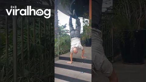 70-Year-Old Dad Walks Down Steps on His Hands || ViralHog