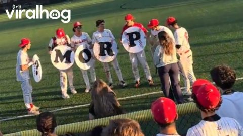 Prom Proposal Gone Wrong || ViralHog
