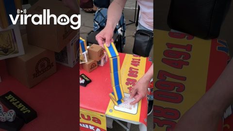 Man Performs a Magic Trick With a Jacob's Ladder || ViralHog