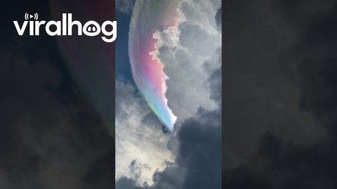 Iridescent Rainbow Clouds || ViralHog