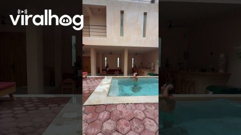 Guy Jumps From Balcony Into Pool || ViralHog