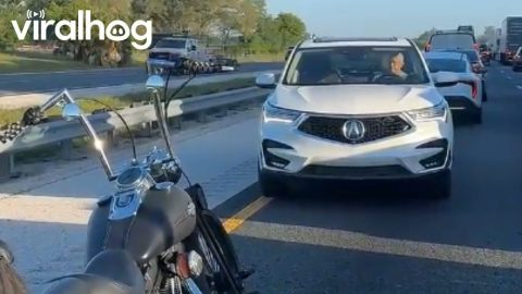 State Trooper Stops Driver Going Wrong Way Down Shoulder In Locked Traffic || ViralHog