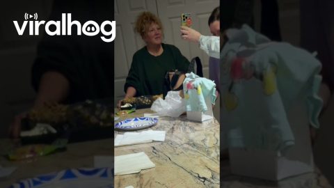 Surprise Twin Gender Reveal || ViralHog