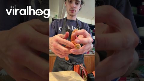 Two Carrots Grow Together In Spiral || ViralHog