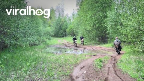 Dirt Biker Clotheslined By Tree Branch || ViralHog