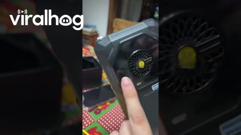 Indestructible Cell Phone || ViralHog