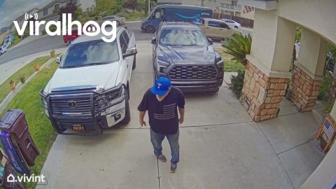 Dog Gets Out and Scares Delivery Driver || ViralHog