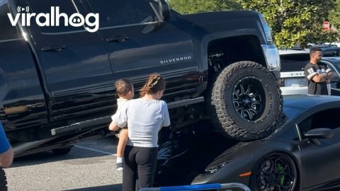 Pickup Truck Crushes Lamborghini in a Florida Parking Lot || ViralHog