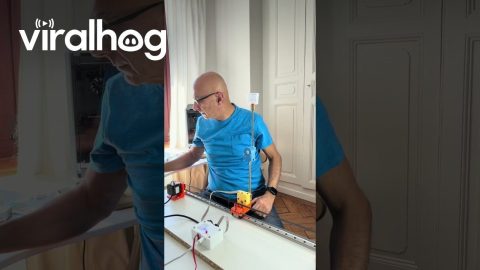 Double Pendulum Balancing Act || ViralHog