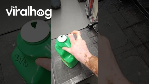 Opening a Bottle With One Hand and Six Fingers || ViralHog