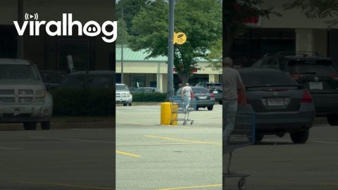 Man Chases After Dropped Money in the Wind || ViralHog
