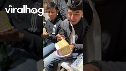 Ginormous Cake Slices || ViralHog