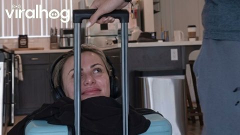 Twin Sister Gets in a Suitcase || ViralHog