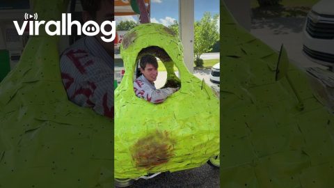 Whimsical Pear Car On Journey Across States || ViralHog