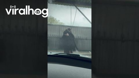 Spraying Car Wash Hose Gives Good Hugs || ViralHog